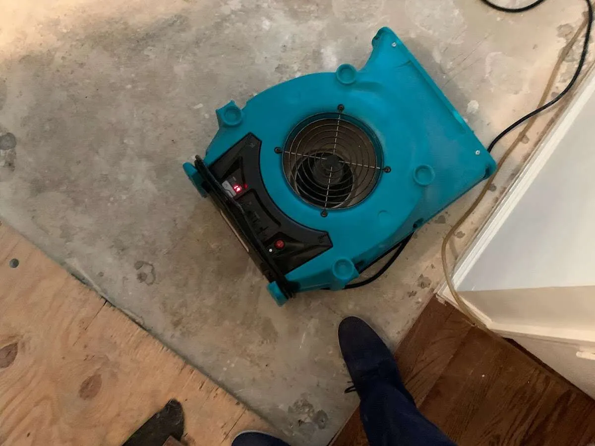 Air mover drying subfloor during Commercial Water Damage Restoration in Groveland